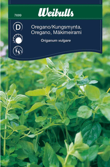 Oregano 'Origanum vulgare'